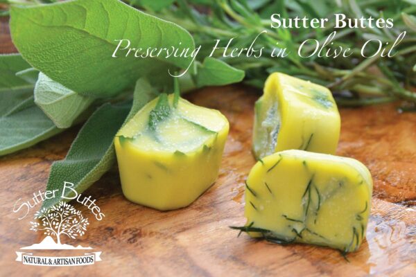 preserving herbs in olive oil